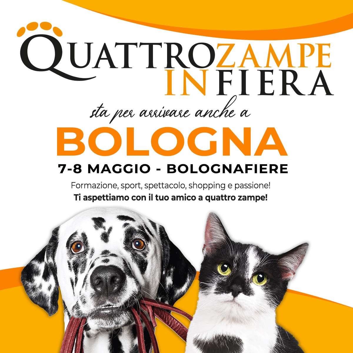Immagine Post